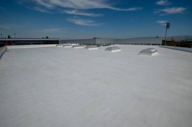 Best Roof Ventilation Installation  in Terrell, TX