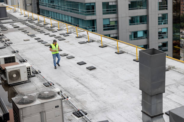 Best Roof Maintenance and Cleaning  in Terrell, TX